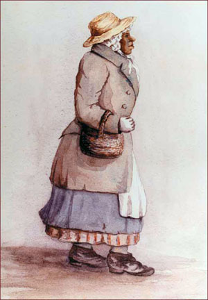 Watercolour of Rose Fortune